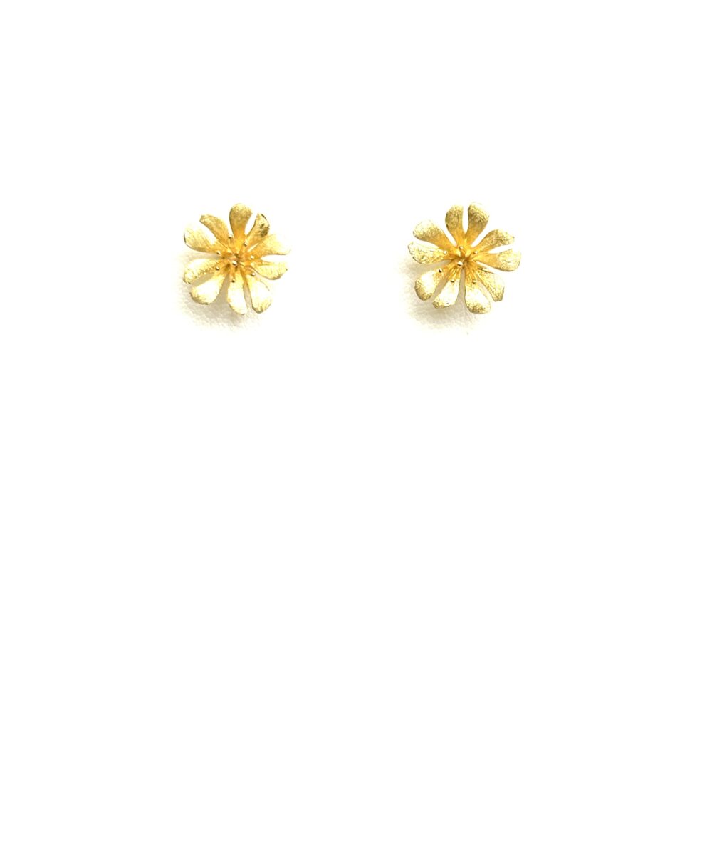 Aretes Lotus