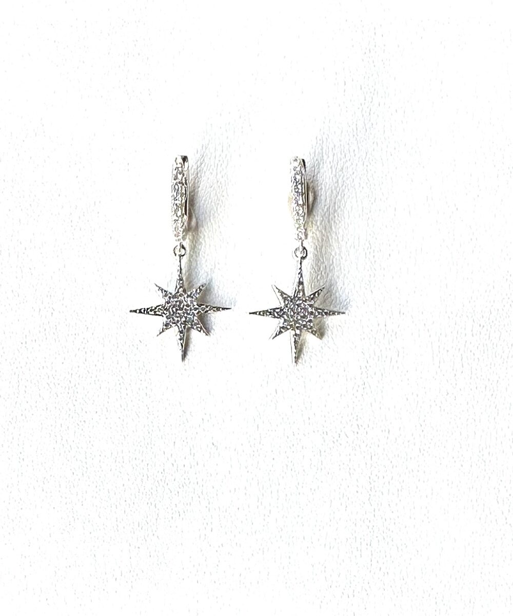 Aretes Estrela