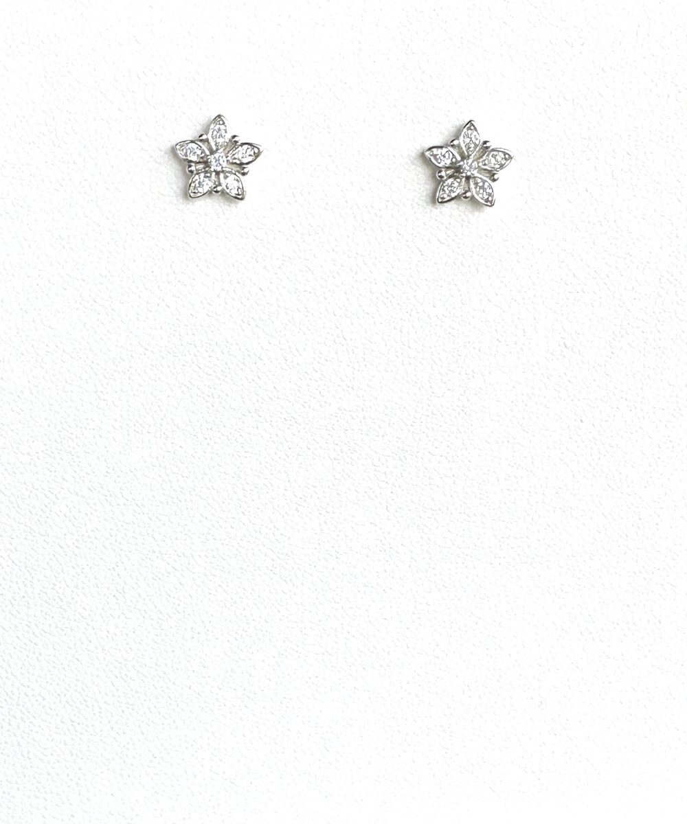 Aretes Sue