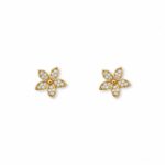 Aretes Iris — Aretes de plata bañados en oro