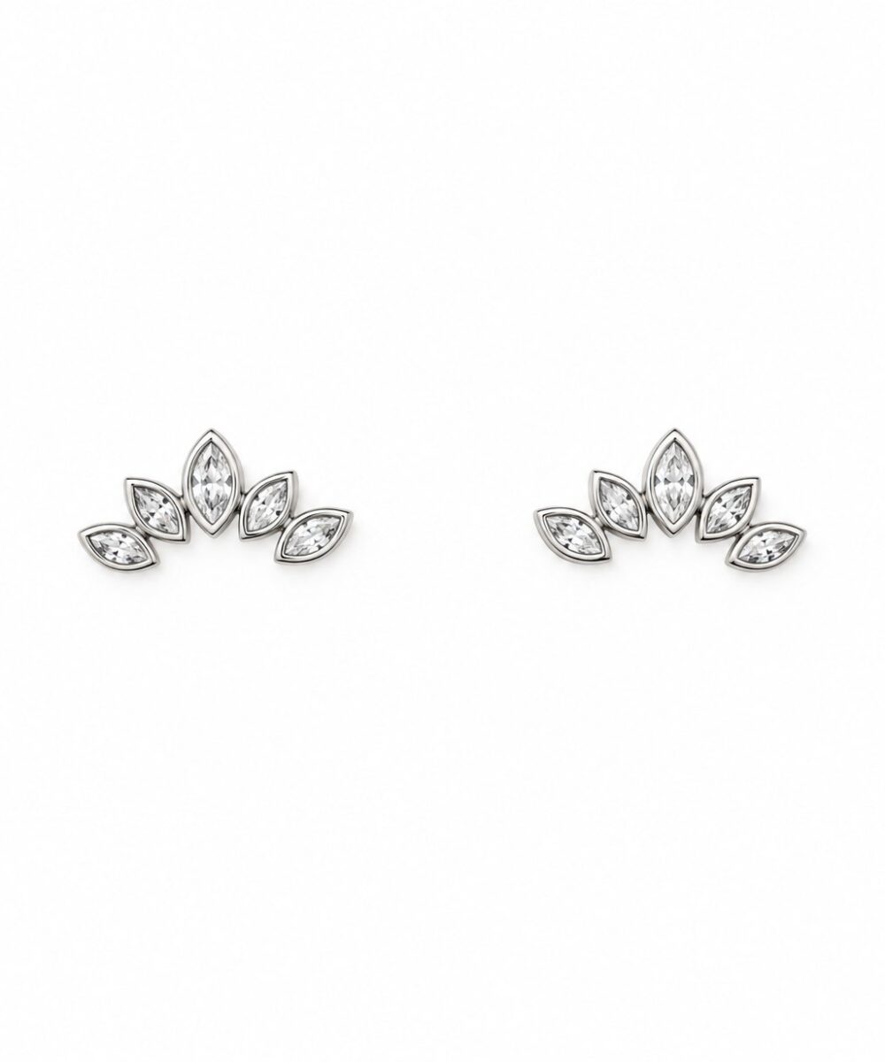 Aretes Reine — Aretes de plata con circones