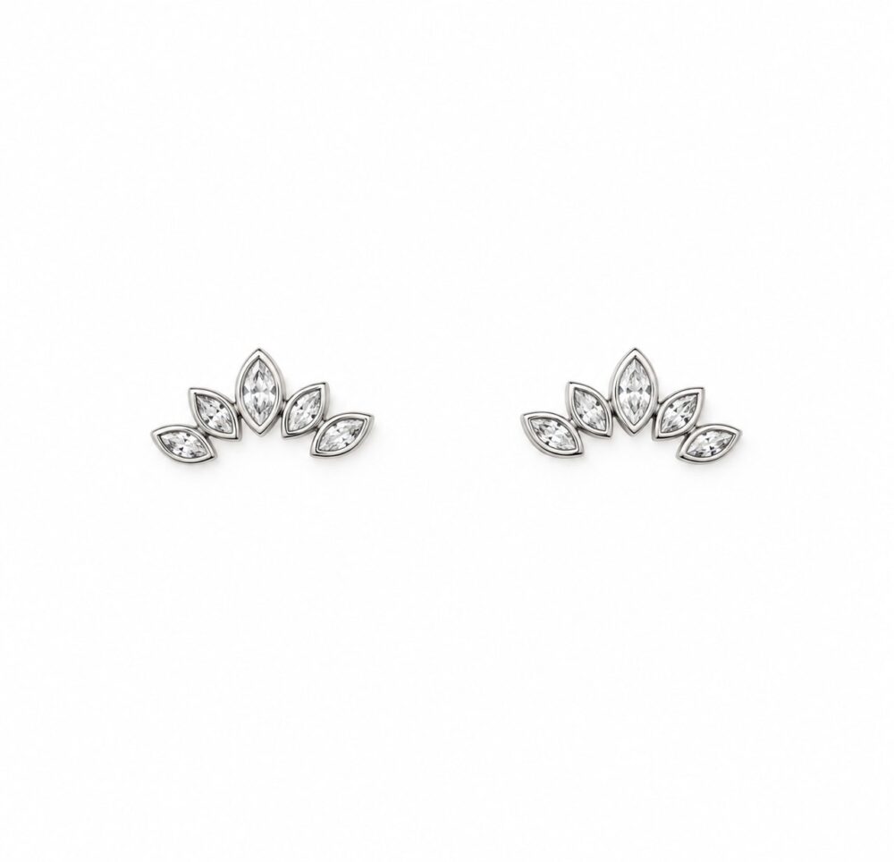Aretes Reine — Aretes de plata con circones
