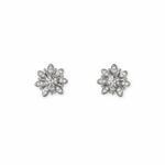 Aretes Verónica — Aretes de plata con circones
